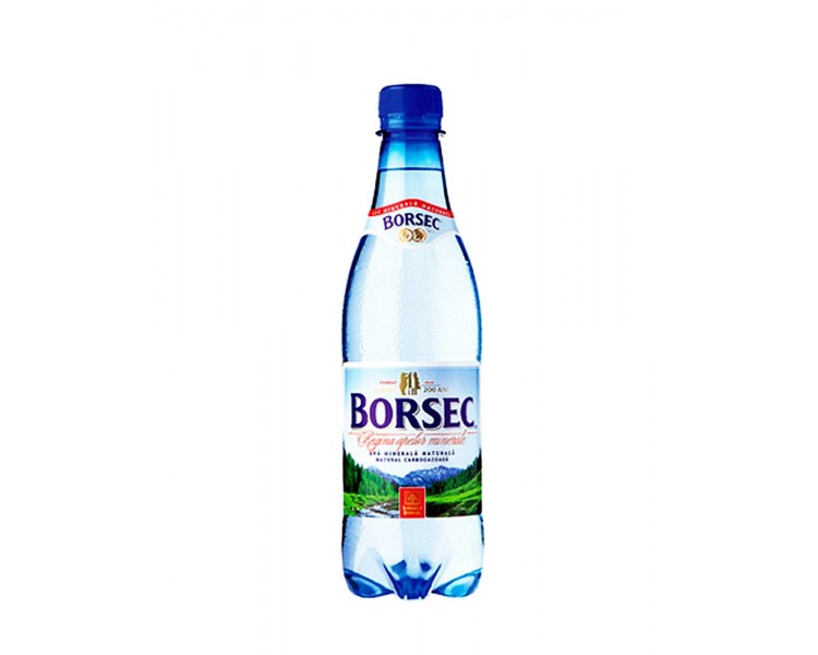 BORSEC APA MINERALA 0.5L/12