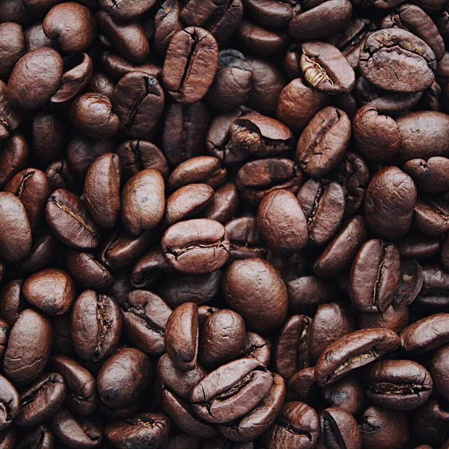 FORT GROUND COFFEE 100GR